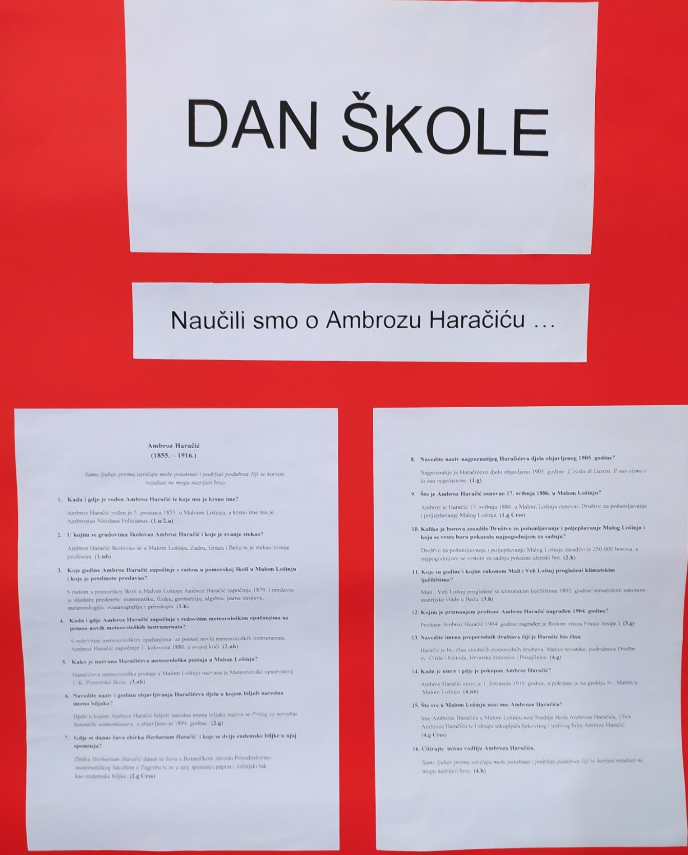 A.-Haračić-pano