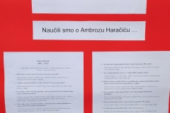 A.-Haračić-pano
