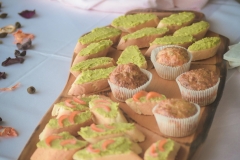 lucac slike projekt (5 of 35)