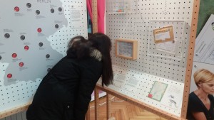 Komarci u Njemačkoj